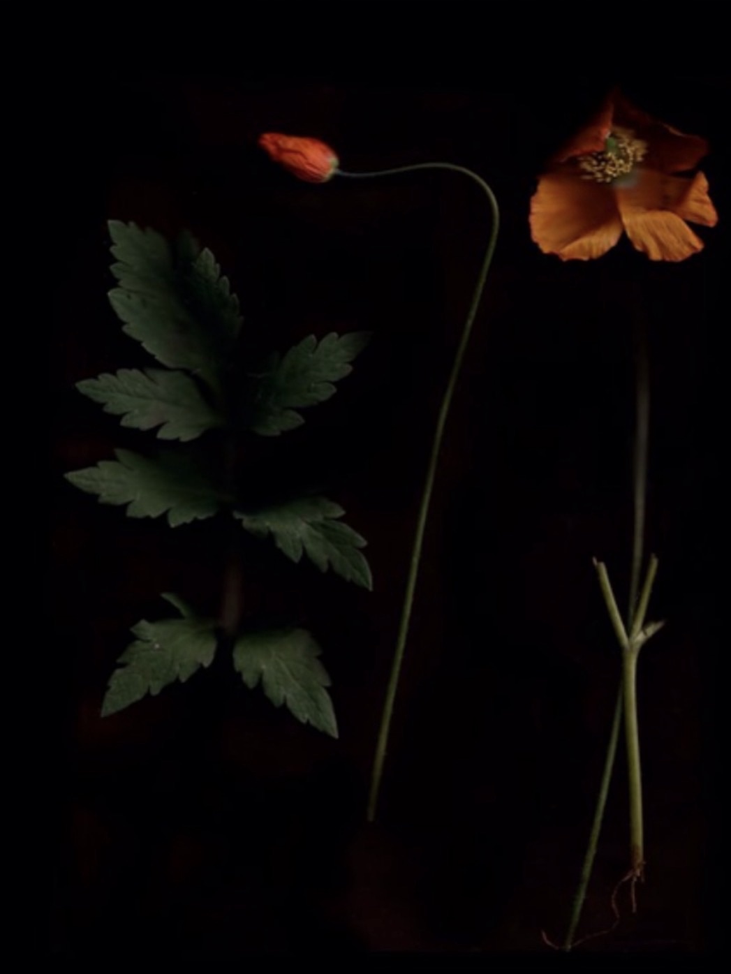 Finding Voice Through Materials: When Words Fail, Making Speaks